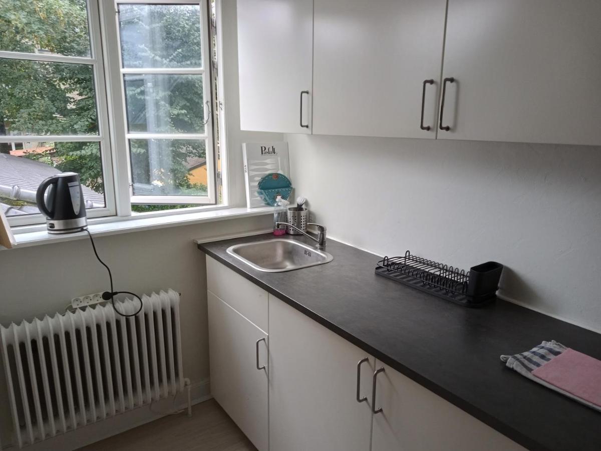 Professor Labri Apartment Odense